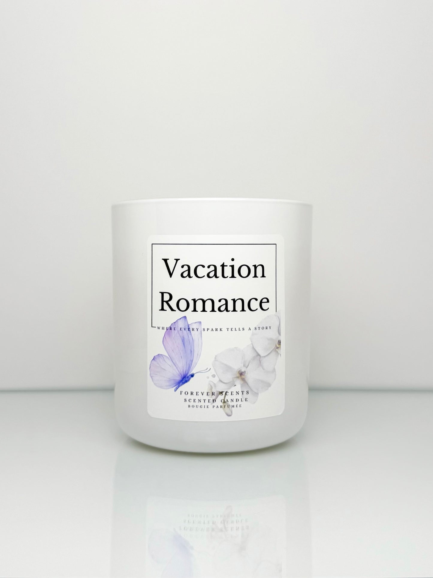 Vacation Romance