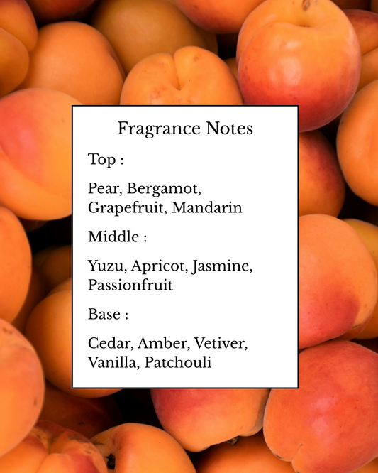 Yuzu Apricot Wax Melt