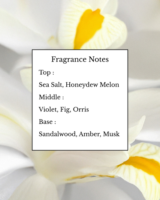 White Orris Wax Melt