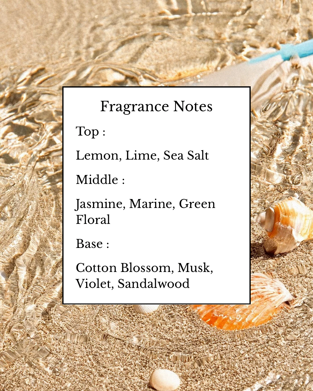 Ocean Breeze